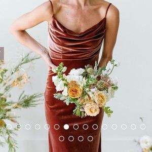 Revelry Skye Velvet Dress